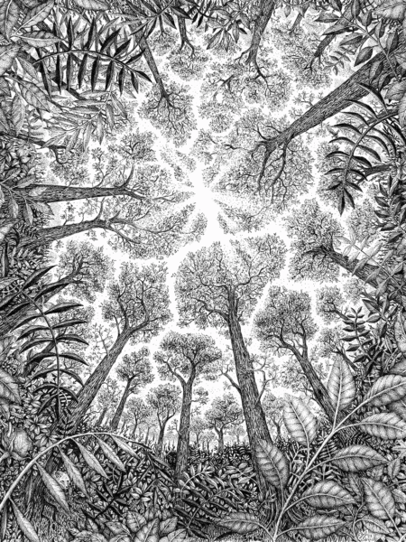 Crown shyness