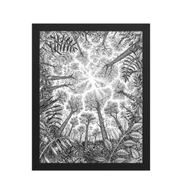 Crown Shyness - Framed matte print