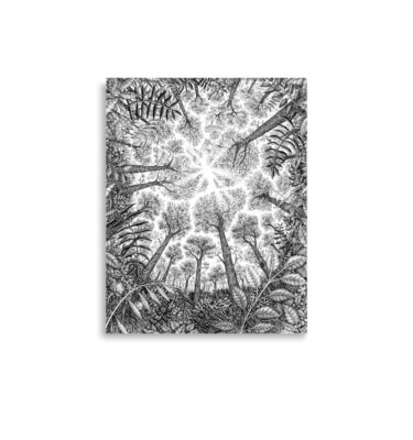 Crown Shyness - Matte Print