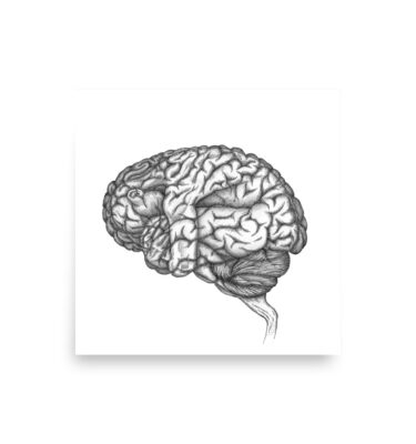 Fetal Brain - Matte print